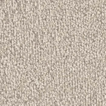 Vorwerk Safira Teppichboden Farbcode 8H73 – Draufsicht ohne Etikett